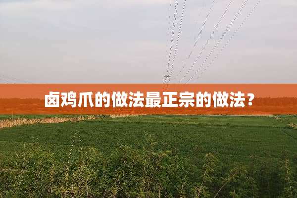 卤鸡爪的做法最正宗的做法？