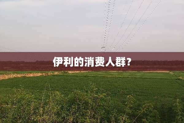 伊利的消费人群？