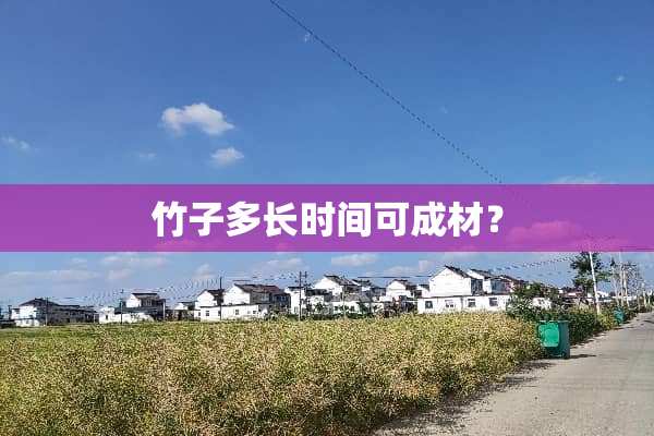 竹子多长时间可成材？