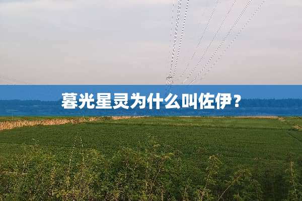 暮光星灵为什么叫佐伊？