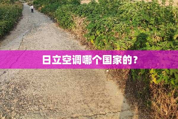 日立空调哪个国家的？
