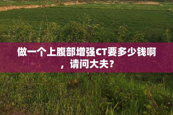 做一个上腹部增强CT要多少钱啊，请问大夫？