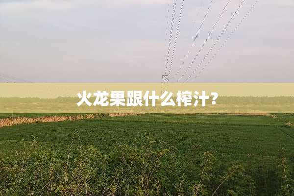火龙果跟什么榨汁？