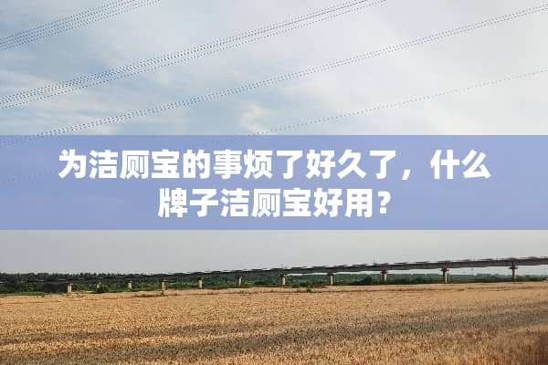 为洁厕宝的事烦了好久了，什么牌子洁厕宝好用？