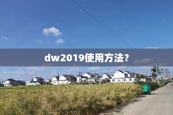 dw2019使用方法？