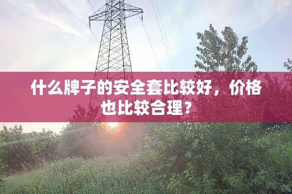 什么牌子的安**比较好，价格也比较合理？