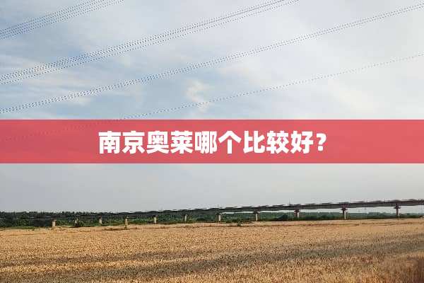 南京奥莱哪个比较好？