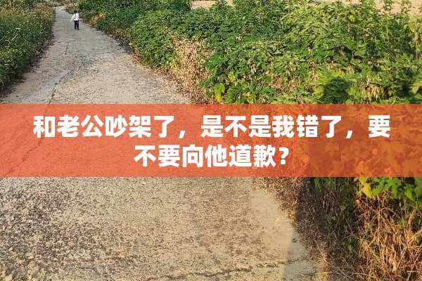 和老公吵架了，是不是我错了，要不要向他道歉？