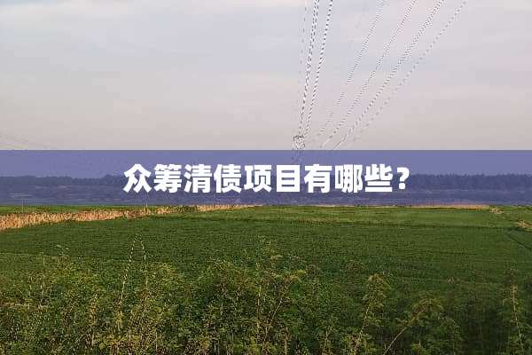 众筹清债项目有哪些？