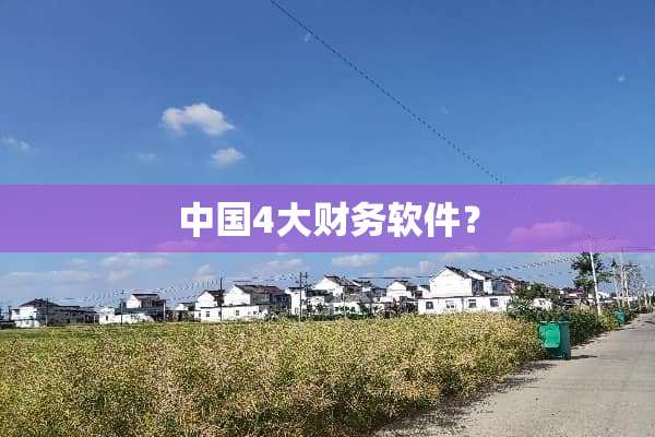 中国4大财务软件？