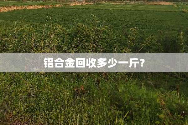 铝合金回收多少一斤？