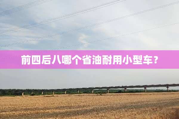 前四后八哪个省油耐用小型车？