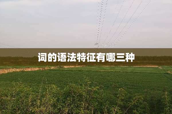 词的语法特征有哪三种