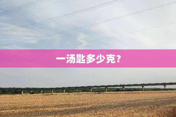 一汤匙多少克？