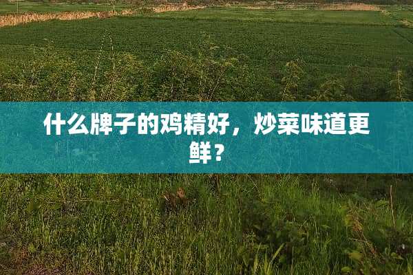 什么牌子的鸡精好，炒菜味道更鲜？