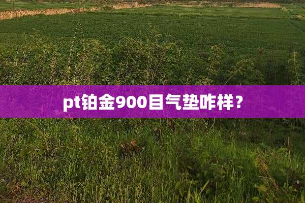 pt铂金900目气垫咋样？