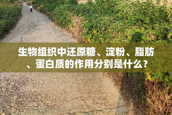 生物组织中还原糖、淀粉、脂肪、蛋白质的作用分别是什么？