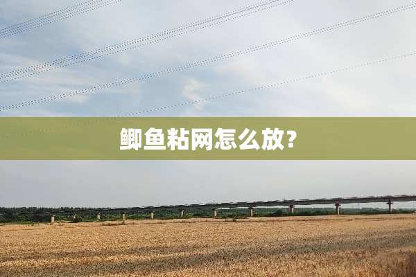 鲫鱼粘网怎么放？
