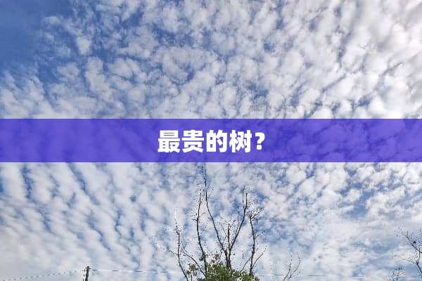 最贵的树？