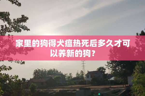 家里的狗得犬瘟热死后多久才可以养新的狗？