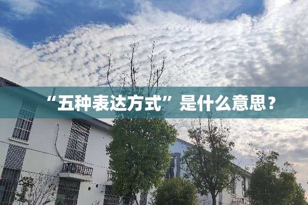 “五种表达方式”是什么意思？