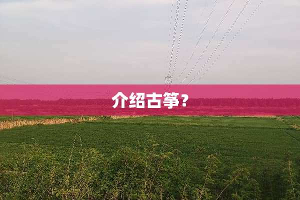 介绍古筝？