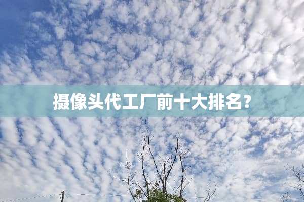 **头代工厂前十大排名？