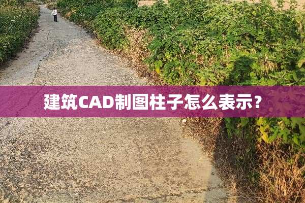 建筑CAD制图柱子怎么表示？