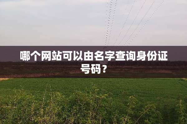 哪个网站可以由名字查询***号码？