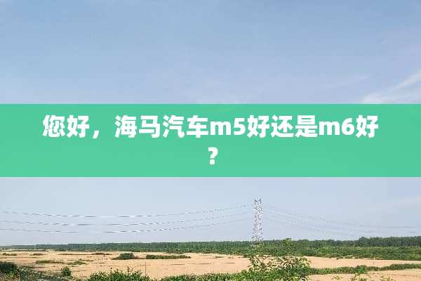您好，海马汽车m5好还是m6好？