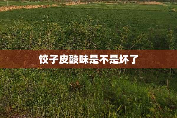饺子皮酸味是不是坏了
