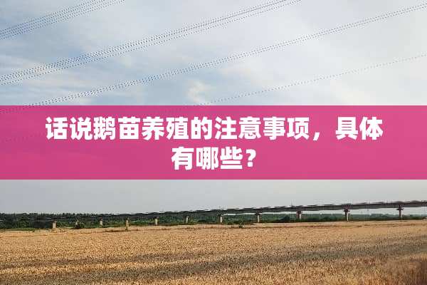 话说鹅苗养殖的注意事项，具体有哪些？