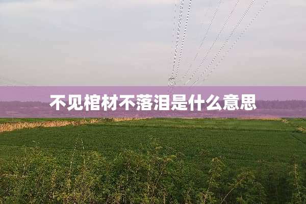 不见棺材不落泪是什么意思