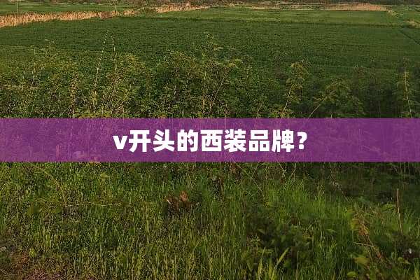 v开头的西装品牌？