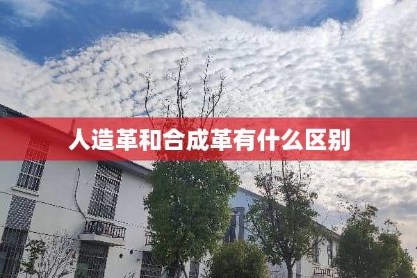 人造革和合成革有什么区别