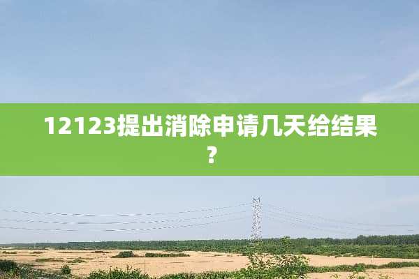 12123提出消除申请几天给结果？
