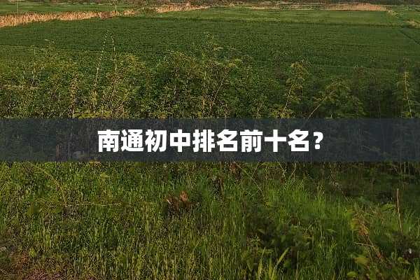 南通初中排名前十名？