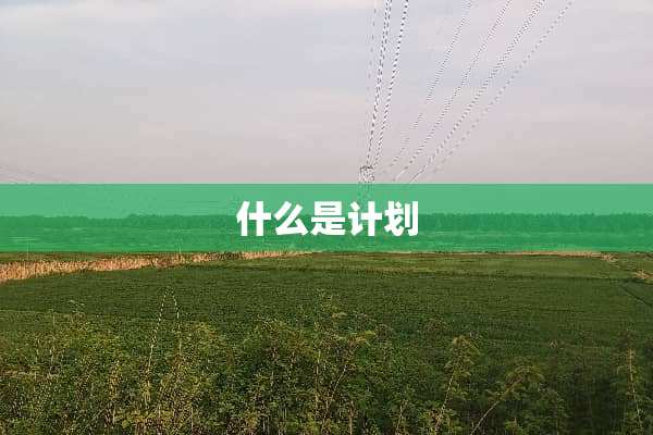 什么是计划