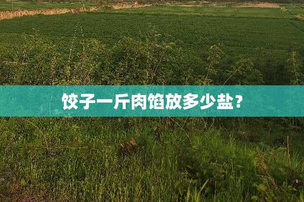 饺子一斤肉馅放多少盐？
