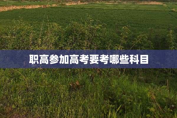 职高参加高考要考哪些科目