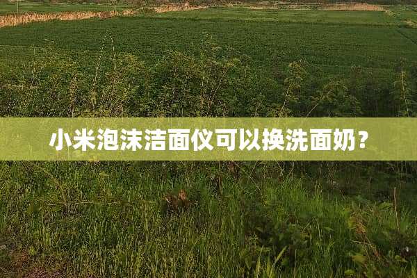 小米泡沫洁面仪可以换洗面奶？