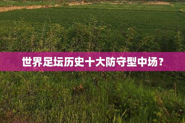 世界足坛历史十大防守型中场？