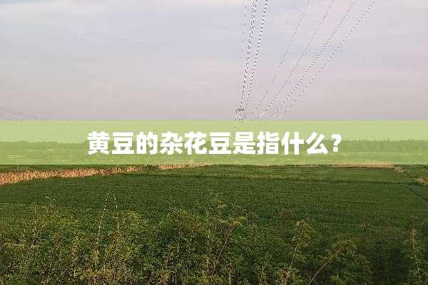 黄豆的杂花豆是指什么？