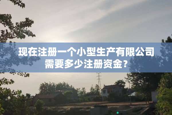 现在注册一个小型生产有限公司需要多少注册资金？