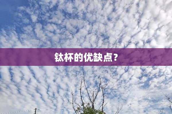 钛杯的优缺点？