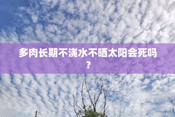 多肉长期不浇水不晒太阳会死吗？