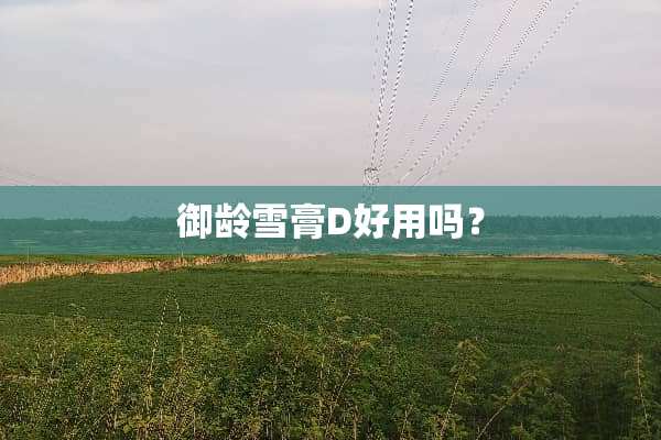 御龄雪膏D好用吗？