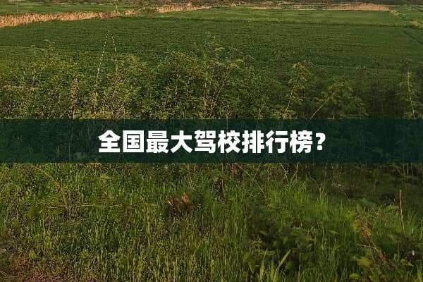 全国最大驾校排行榜？
