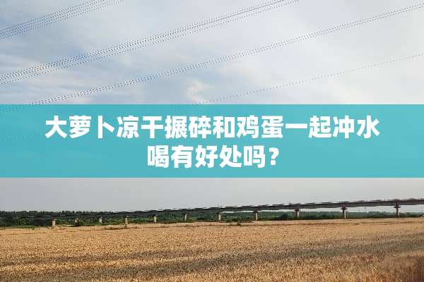 大萝卜凉干搌碎和鸡蛋一起冲水喝有好处吗？