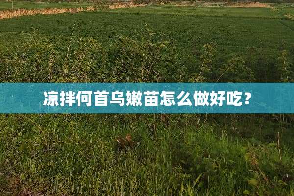 凉拌何首乌嫩苗怎么做好吃？